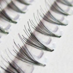 Вії пучкові