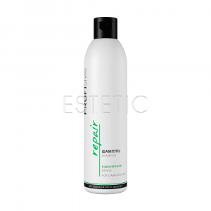 Profi Style Repair Shampoo - Шампунь для поврежденных волос "Восстановление", 250 мл