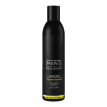 Profi Style Men's Style Normalizing Shampoo for oily hair - Шампунь для чоловіків для жирного волосся, 250 мл