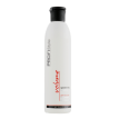 Profi Style Shampoo Volumizing For Thin Hair - Шампунь для объёма волос, 250 мл