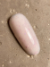 Фото 2 - Рідкий гель DARK Medium Potal Gel №02 молочно-рожевий з рожевою поталлю, 15 мл