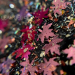 Фото 4 - Гель для дизайну Crooz Leaf Gel №05 кленові листочки фольговані, фіолетові, 5 г