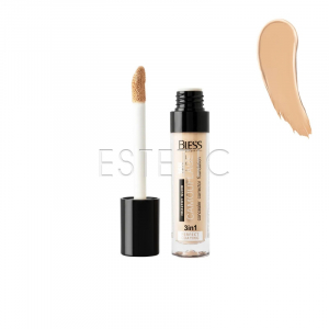 Консилер 3 in1 Bless Beauty CAMOUFLAGE № 01, 9 мл