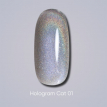 Гель-лак Dark gel polish Hologram cat 01 котяче окоголографічний сріблястий, 6 мл